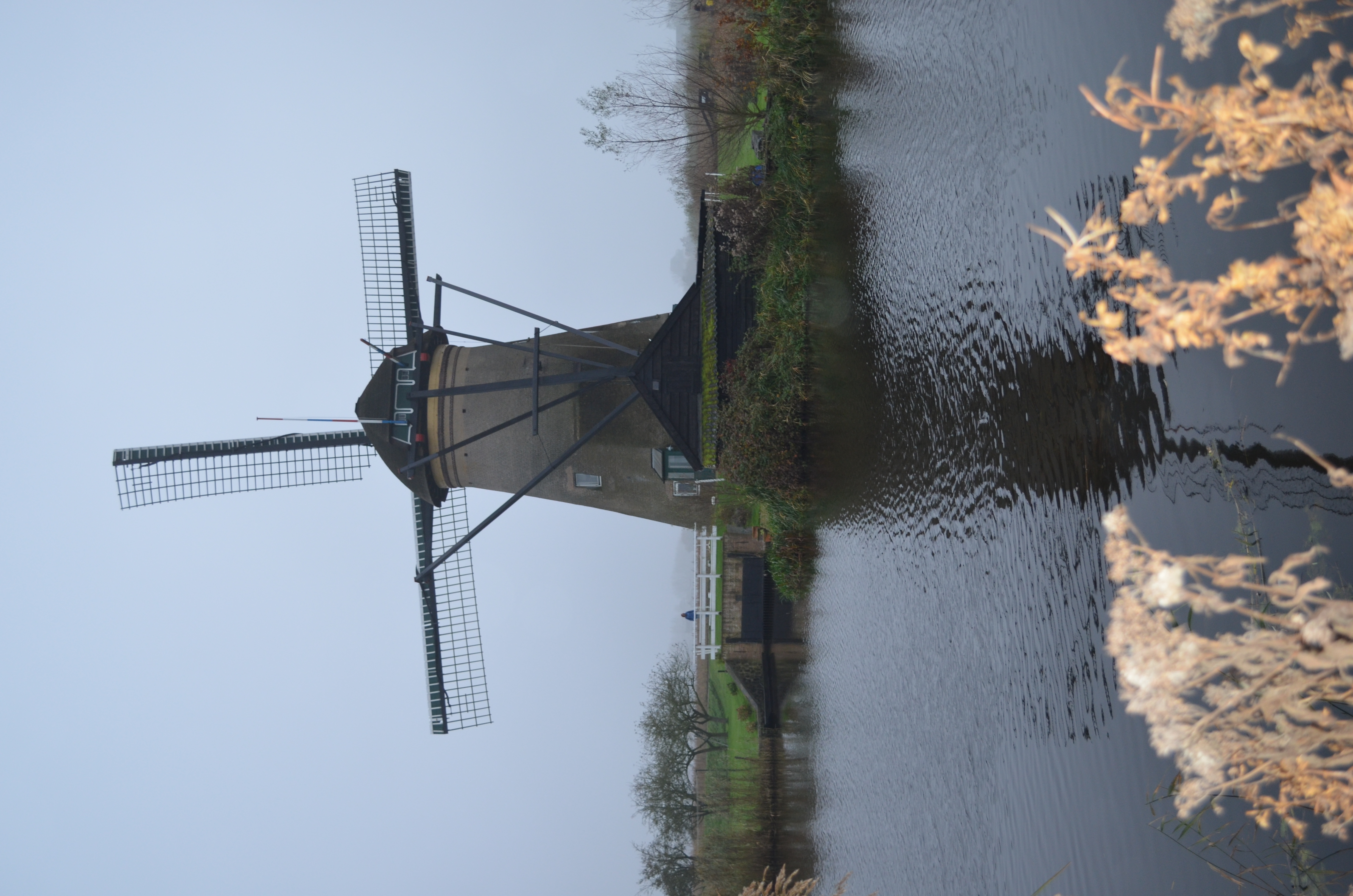 ./2017/19 - Viking Lif/12 - Kinderdijk, The Netherlands/DSC_0343.JPG
